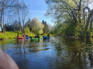 WhatsApp Image 2021-05-10 at 05.43.182.jpeg